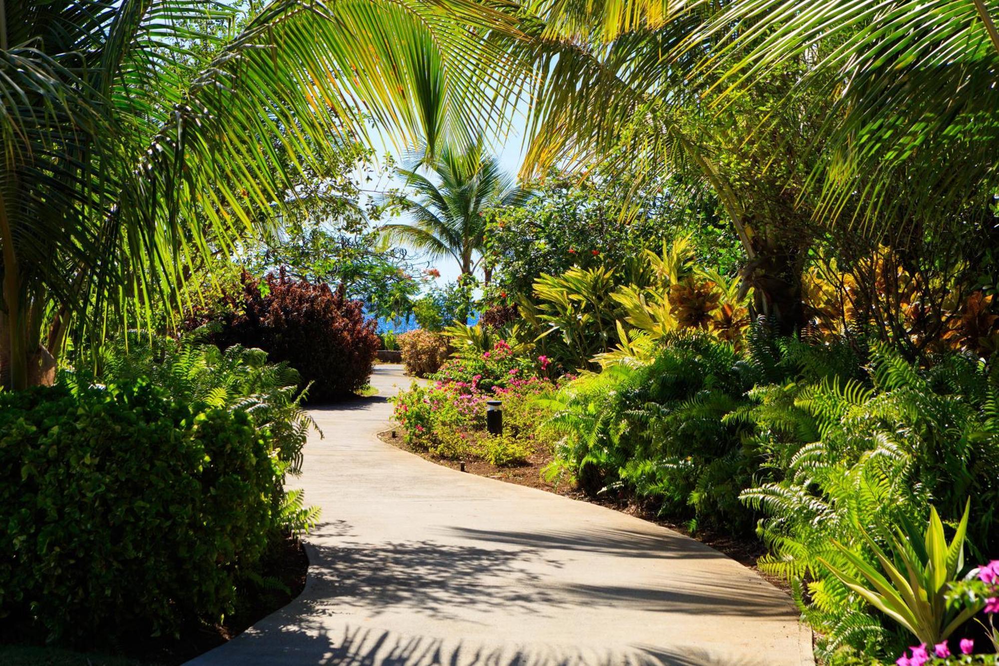 פורתסמות' Intercontinental Dominica Cabrits Resort & Spa By Ihg מראה חיצוני תמונה